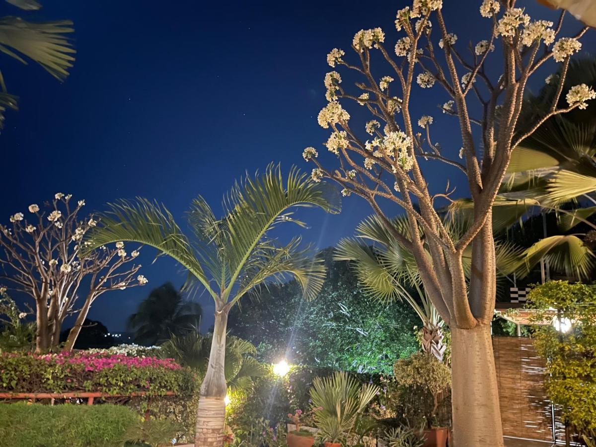 Le Jardin Exotique Hotel Antsiranana エクステリア 写真
