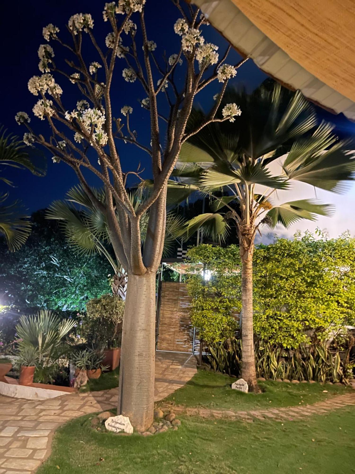 Le Jardin Exotique Hotel Antsiranana エクステリア 写真