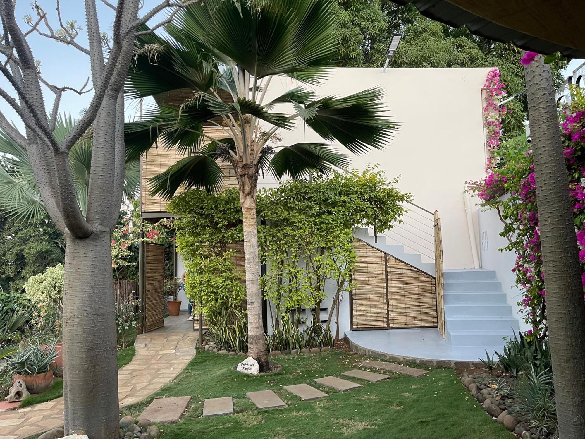Le Jardin Exotique Hotel Antsiranana エクステリア 写真