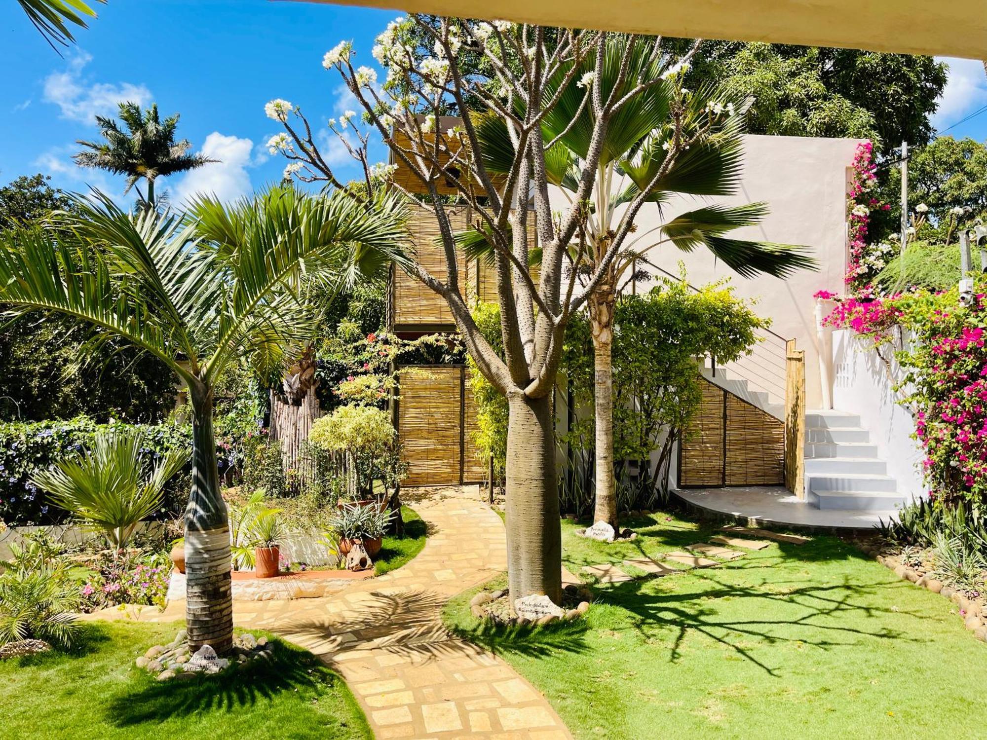 Le Jardin Exotique Hotel Antsiranana エクステリア 写真