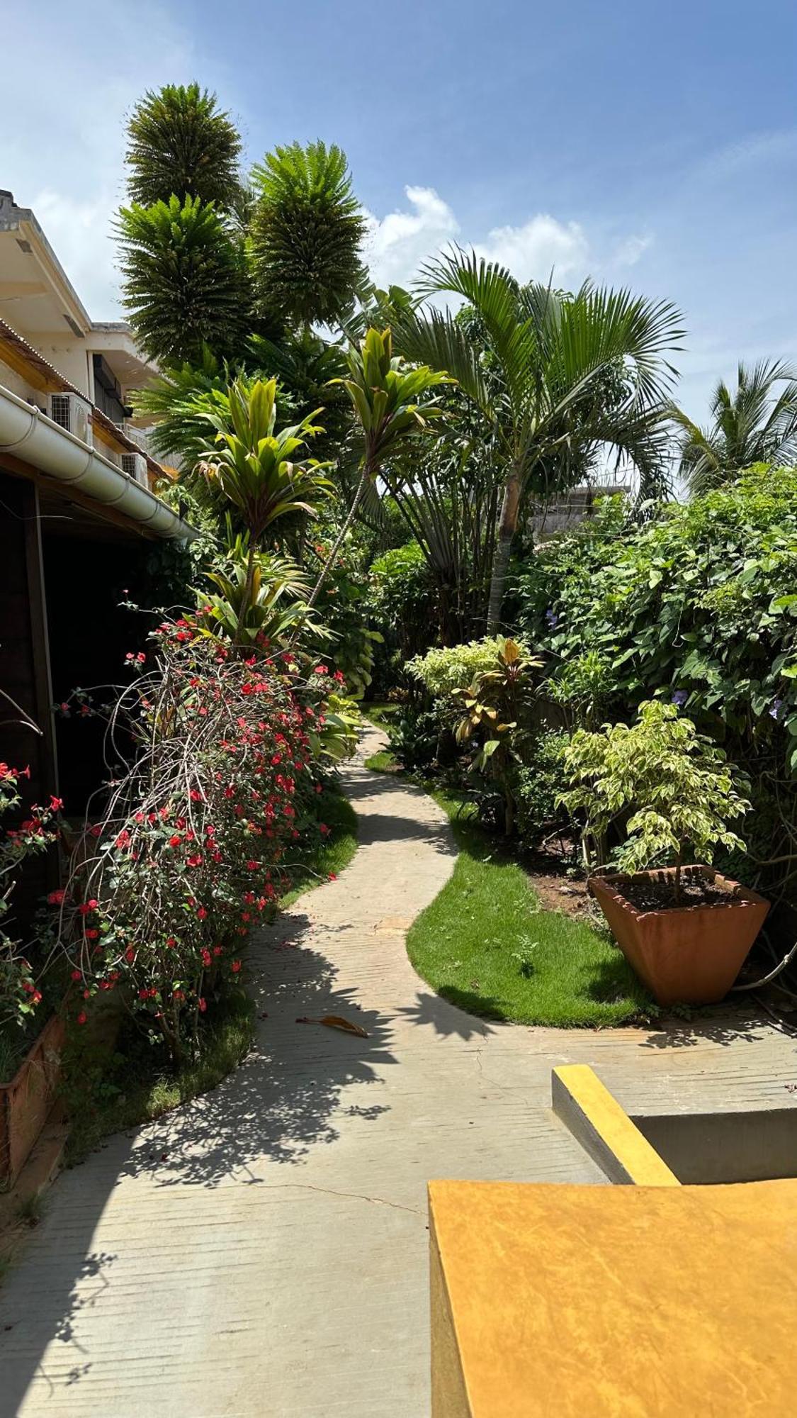 Le Jardin Exotique Hotel Antsiranana エクステリア 写真